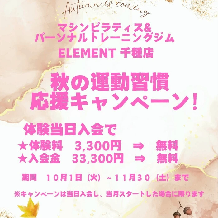 画像264